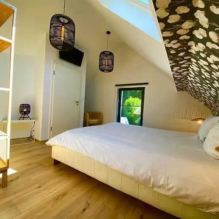 Estrella Dreams Amel