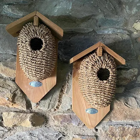 Frühstückspension Estrella Dreams *