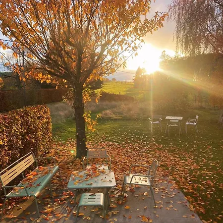 Estrella Dreams Amel