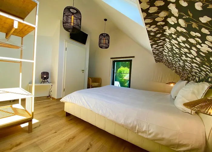 Estrella Dreams אמבלב