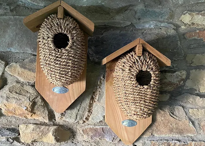 לינה וארוחת בוקר Estrella Dreams *